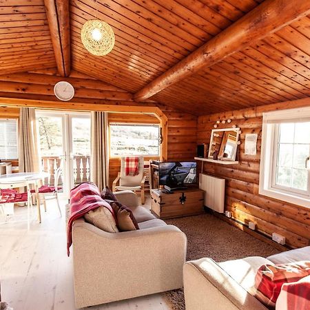 Welsh Retreat 2 Bedroom Log Cabin - Seren Property Trawsfynydd Esterno foto