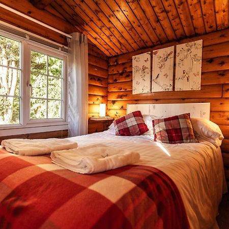 Welsh Retreat 2 Bedroom Log Cabin - Seren Property Trawsfynydd Esterno foto