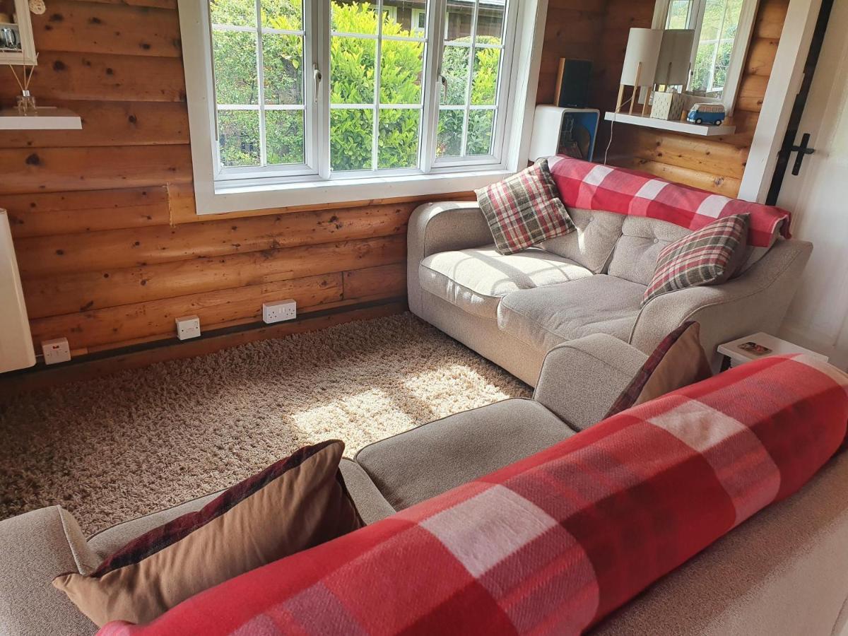 Welsh Retreat 2 Bedroom Log Cabin - Seren Property Trawsfynydd Esterno foto