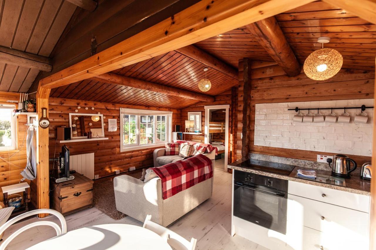 Welsh Retreat 2 Bedroom Log Cabin - Seren Property Trawsfynydd Esterno foto