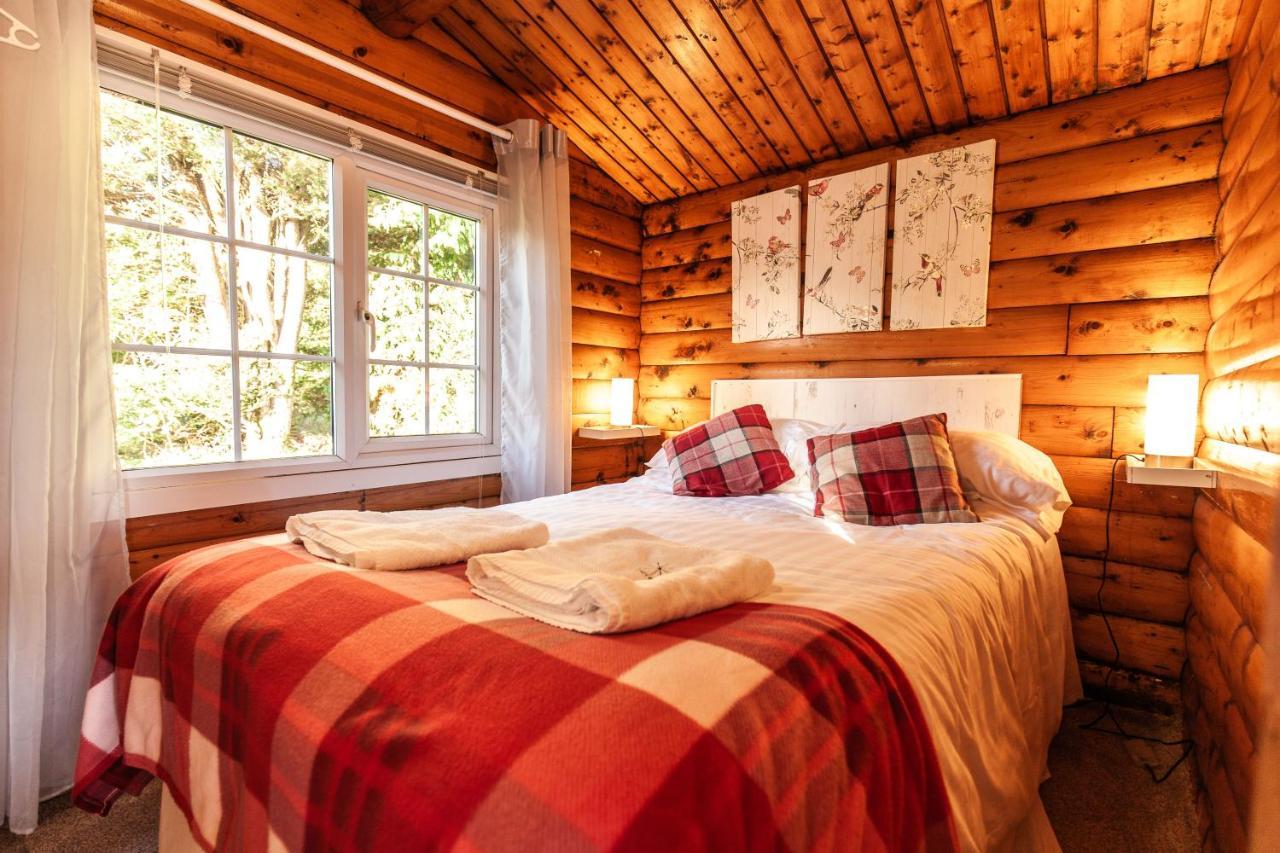 Welsh Retreat 2 Bedroom Log Cabin - Seren Property Trawsfynydd Esterno foto