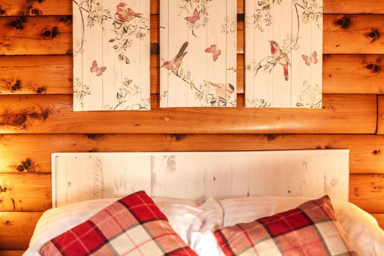Welsh Retreat 2 Bedroom Log Cabin - Seren Property Trawsfynydd Esterno foto