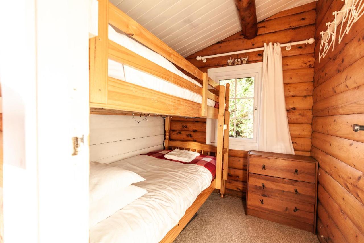 Welsh Retreat 2 Bedroom Log Cabin - Seren Property Trawsfynydd Esterno foto