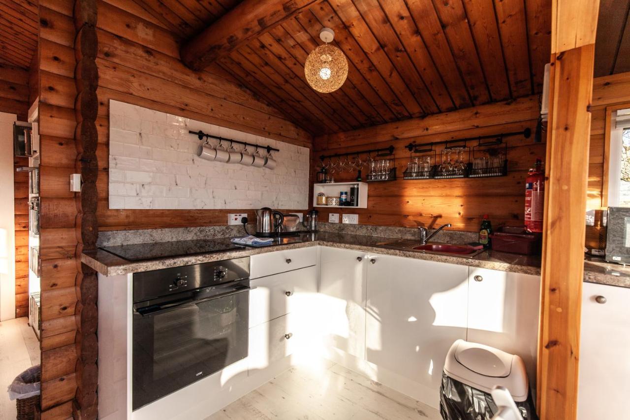 Welsh Retreat 2 Bedroom Log Cabin - Seren Property Trawsfynydd Esterno foto