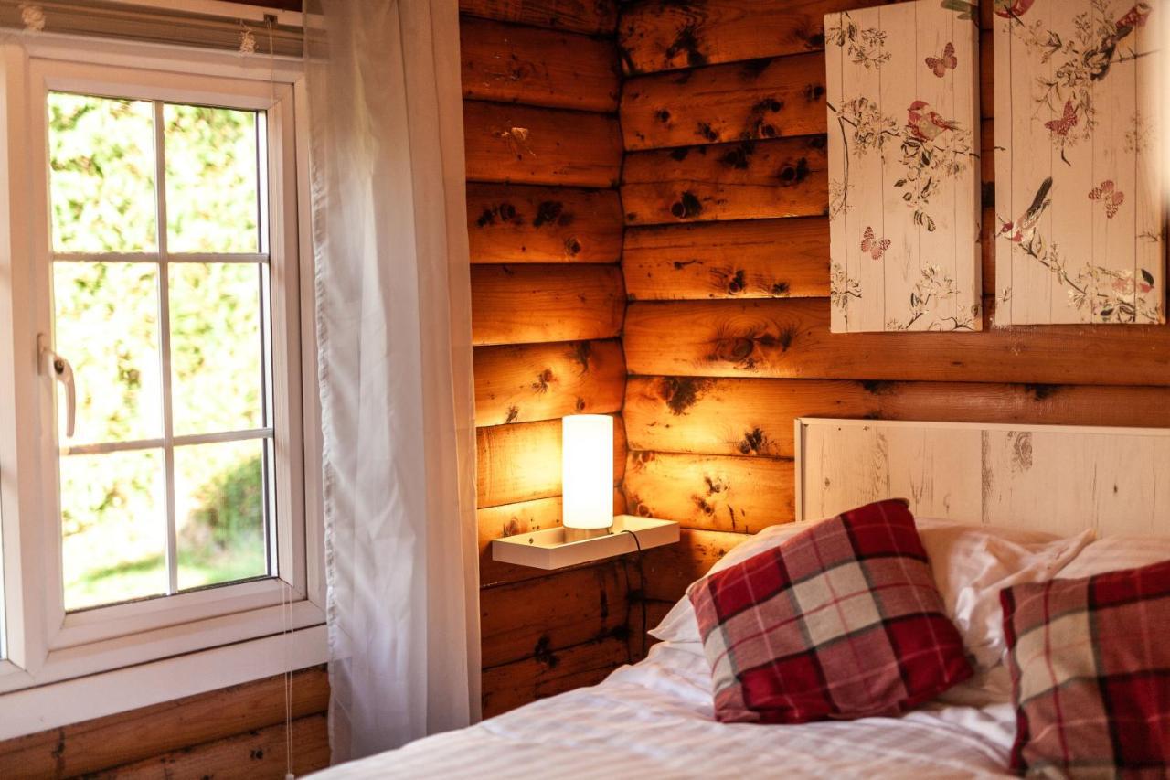 Welsh Retreat 2 Bedroom Log Cabin - Seren Property Trawsfynydd Esterno foto